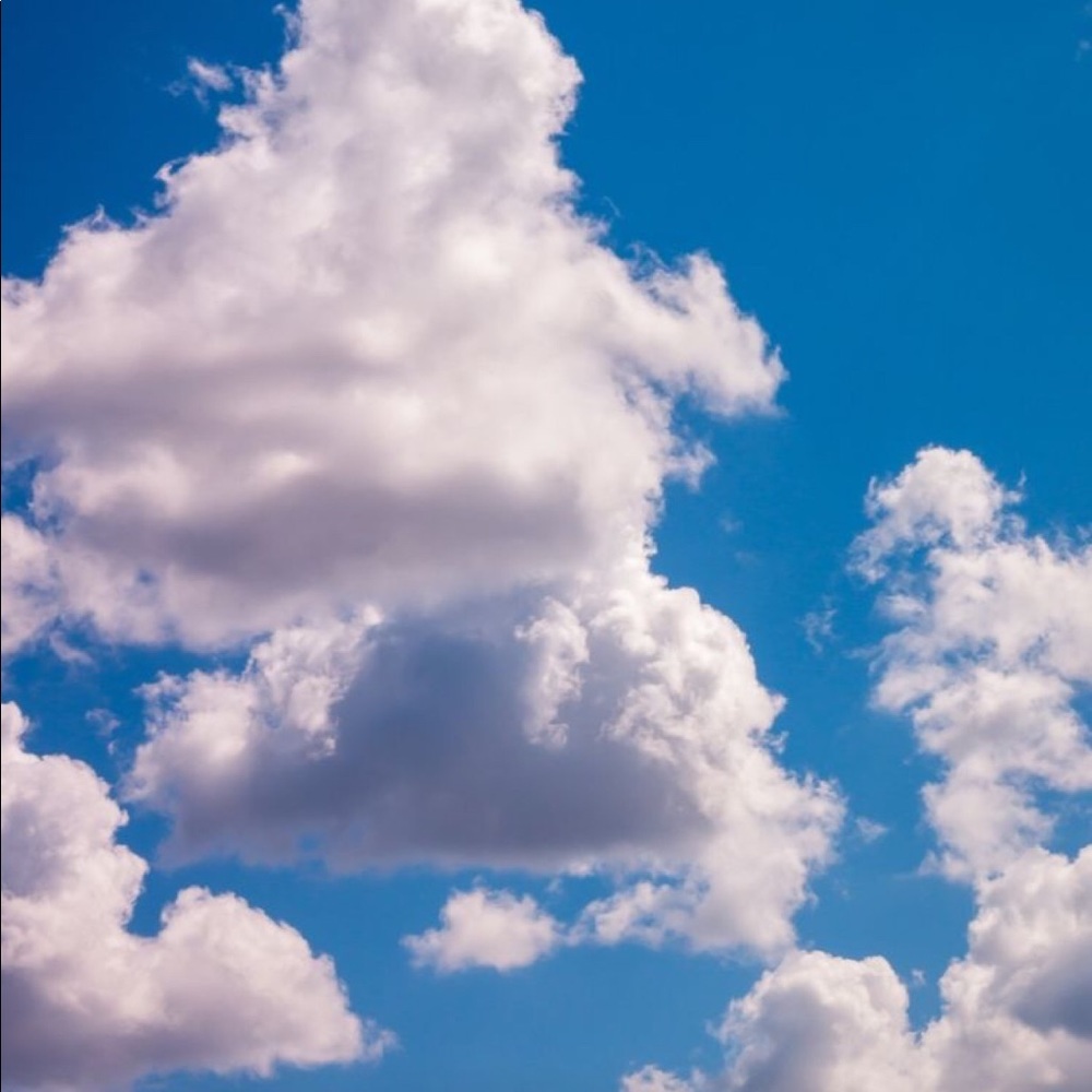 Meet your Posher, Riley